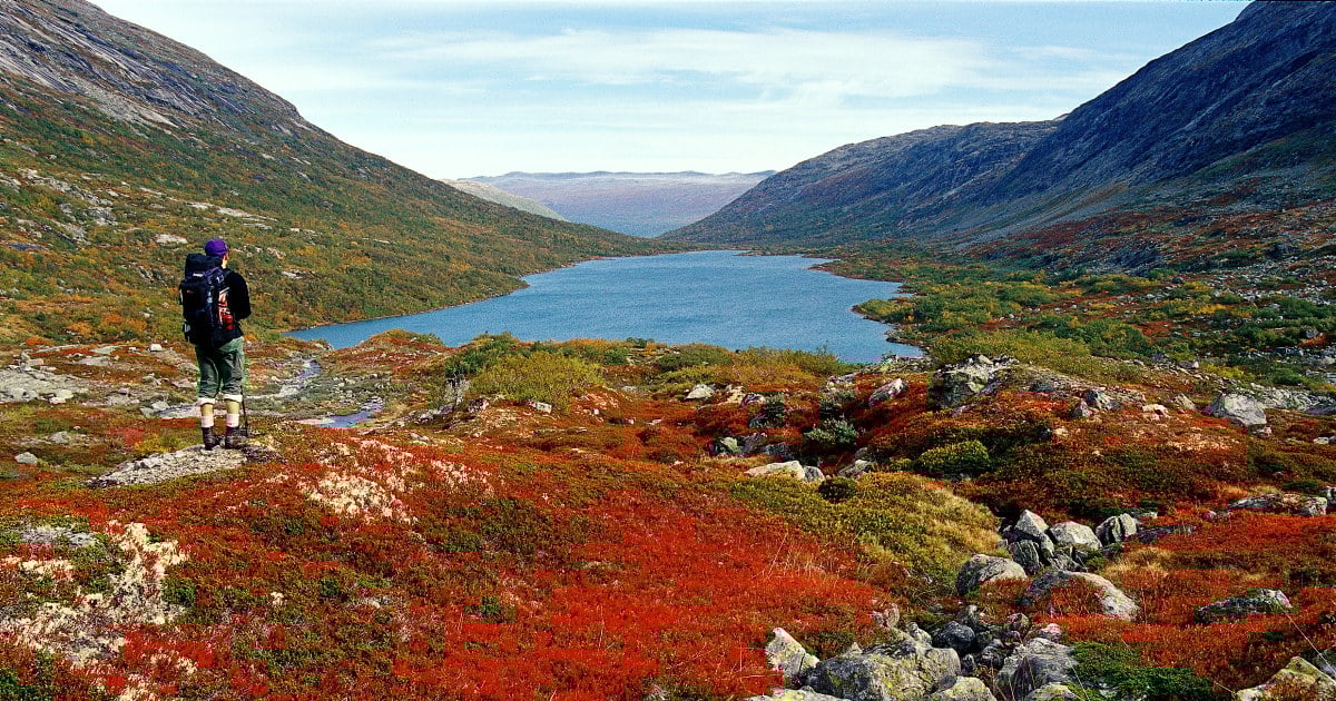 En turgåer med sekk står i fjellandskapet og ser utover en dal med en langstrakt innsjø omgitt av høstfarger i rødt, oransje og grønt.