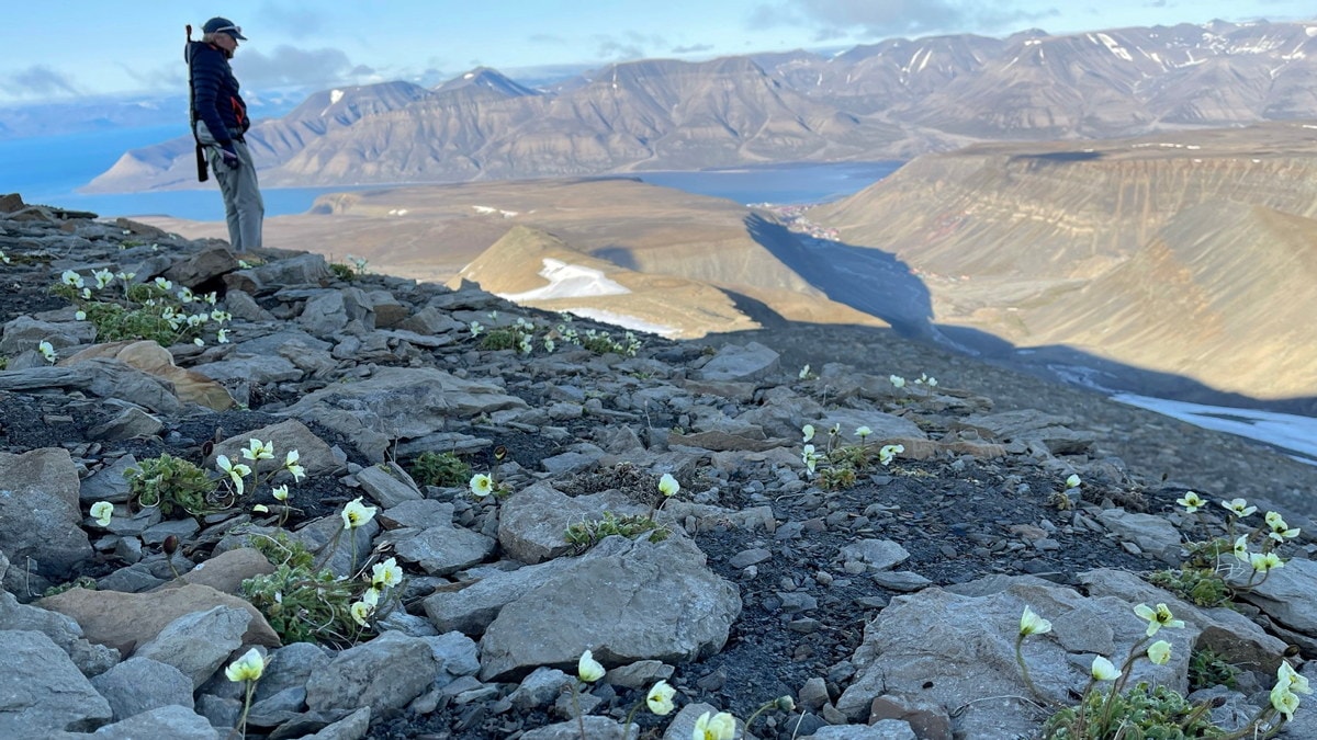 vakker natur på svalbard