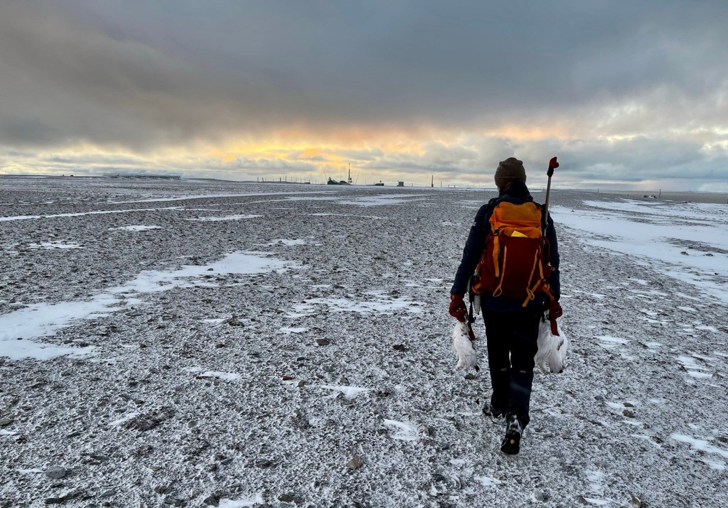 Vakker natur på Svalbard. Foto