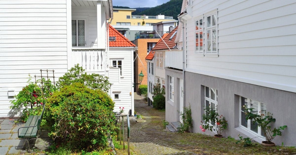 Hvite trehus langs en smal brosteinsgate i Bergen, med røde tak, grønne busker og blomster langs husveggene. Foto.