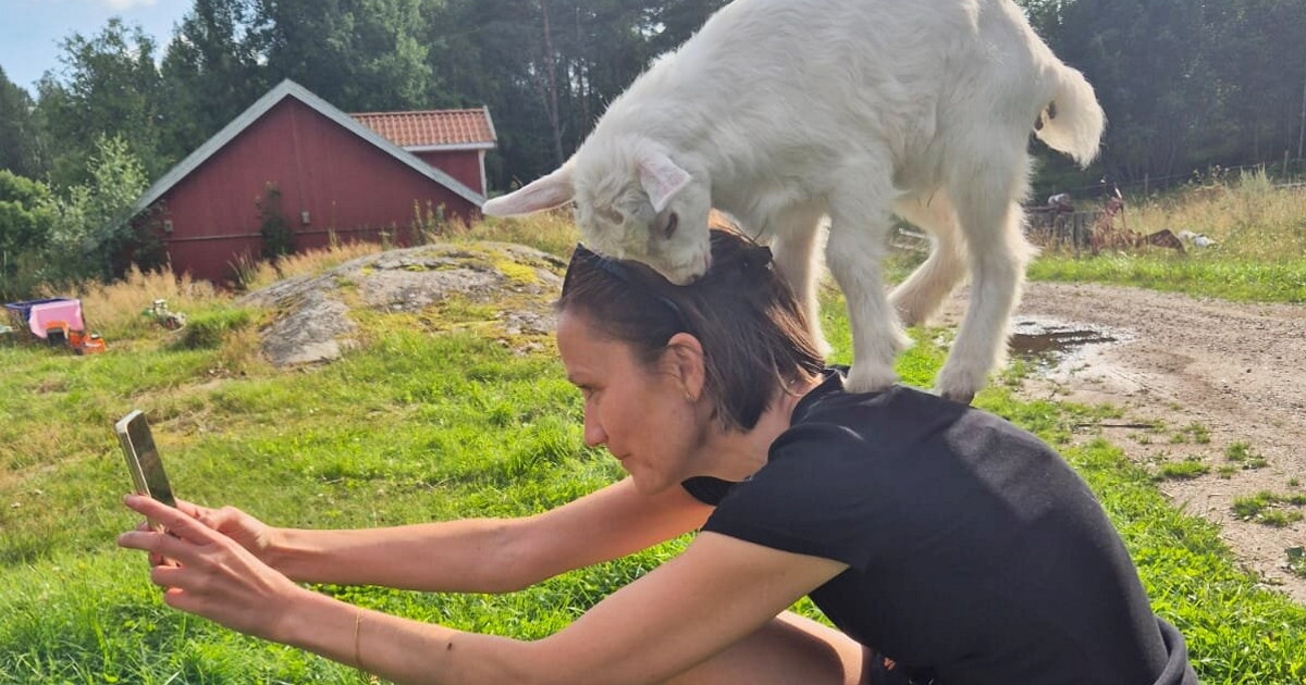 Kvinne tar selfie med mobil av seg selv med en geit på skulderen i en naturgrønn bakgrunn.