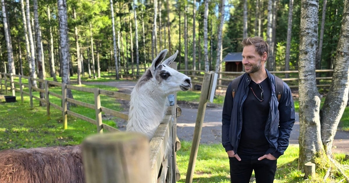 Person som står vedsiden av et pelskledd dyr