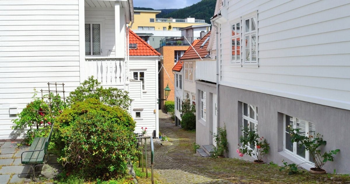 Hvite trehus langs en smal brosteinsgate i Bergen, med røde tak, grønne busker og blomster langs husveggene. Foto.