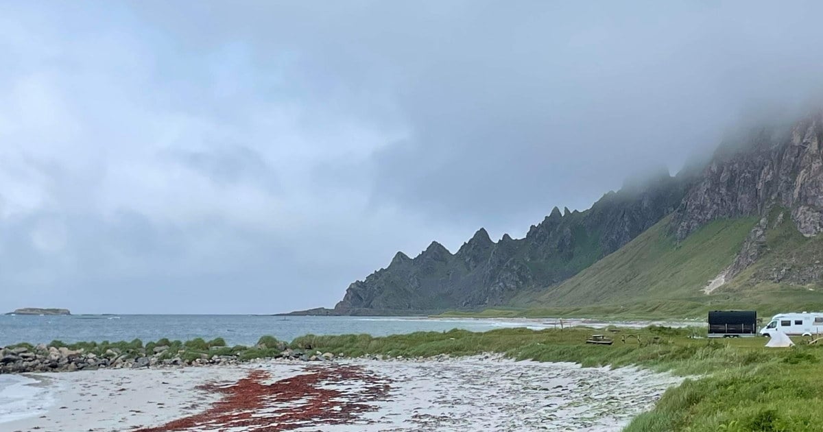 Dramatisk landskap med hav, strand, gress, skydekte fjelltopper. En campingbil og et telt er slått opp på gresset. Foto