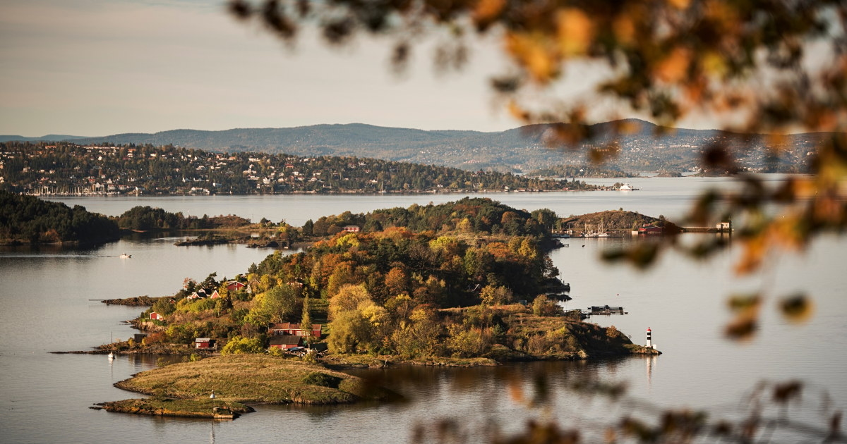 Øy med frodig skog og småhus i Oslofjorden, omgitt av rolig vann. Bildet er tatt gjennom grener med høstfargede blader, med fastlandet og åser i bakgrunnen