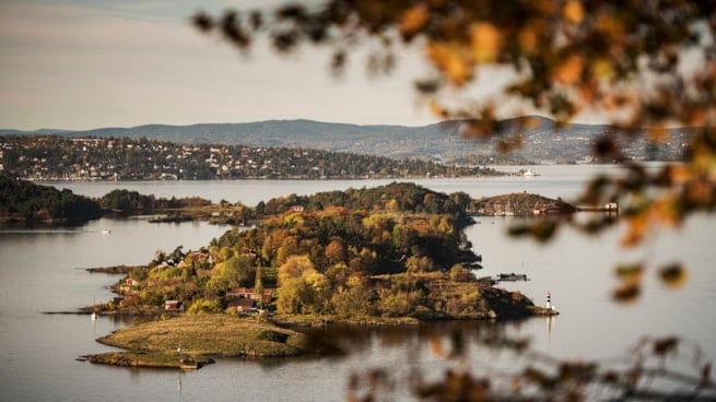 Øy med frodig skog og småhus i Oslofjorden, omgitt av rolig vann. Bildet er tatt gjennom grener med høstfargede blader, med fastlandet og åser i bakgrunnen