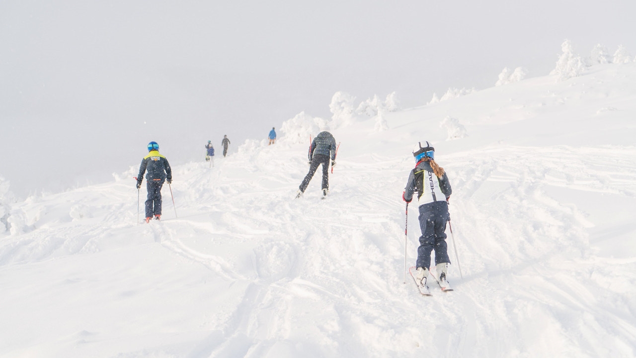 Barn og voksne som kjører ned en skibakke i snødriv. Foto.