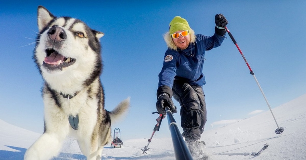 En mann på ski og en hundekjøring. Foto.