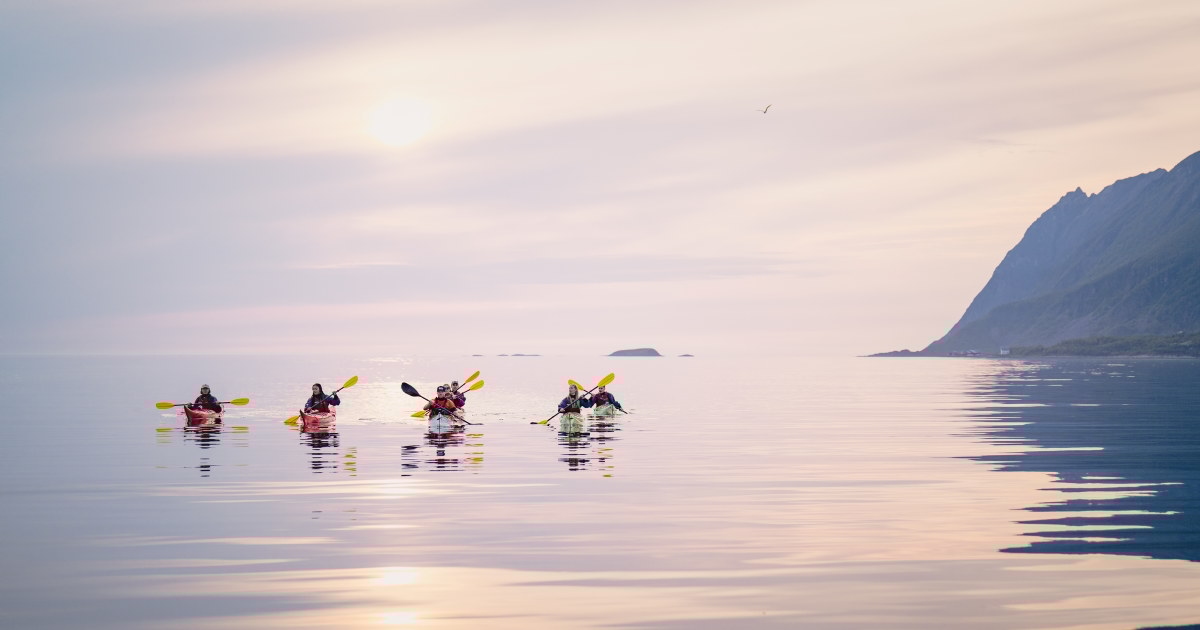 En gruppe som padler kajakk på blikkstille vann i midnattssol utenfor Senja. Foto